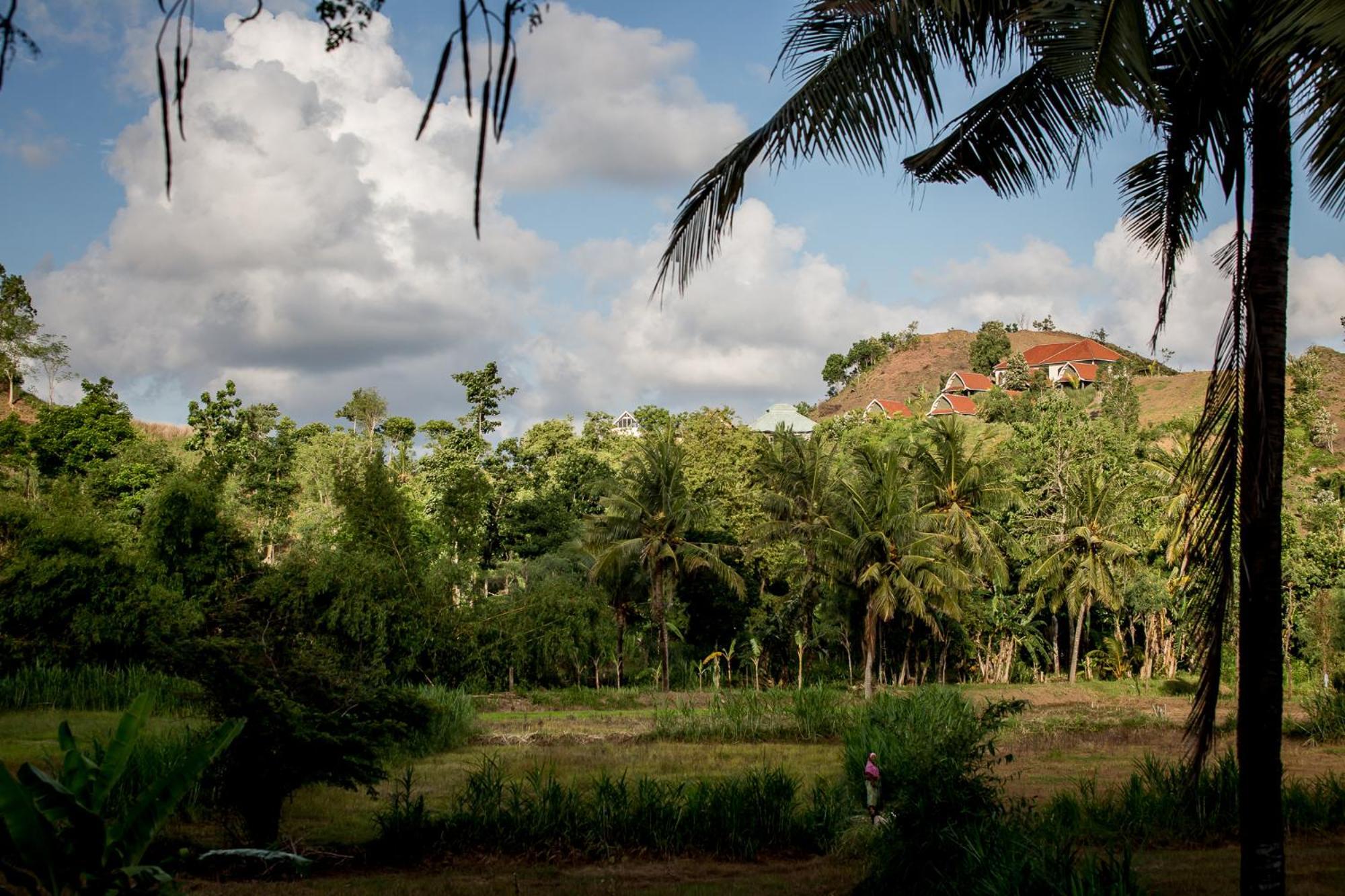 Drop In Surf Lodge Kuta  外观 照片