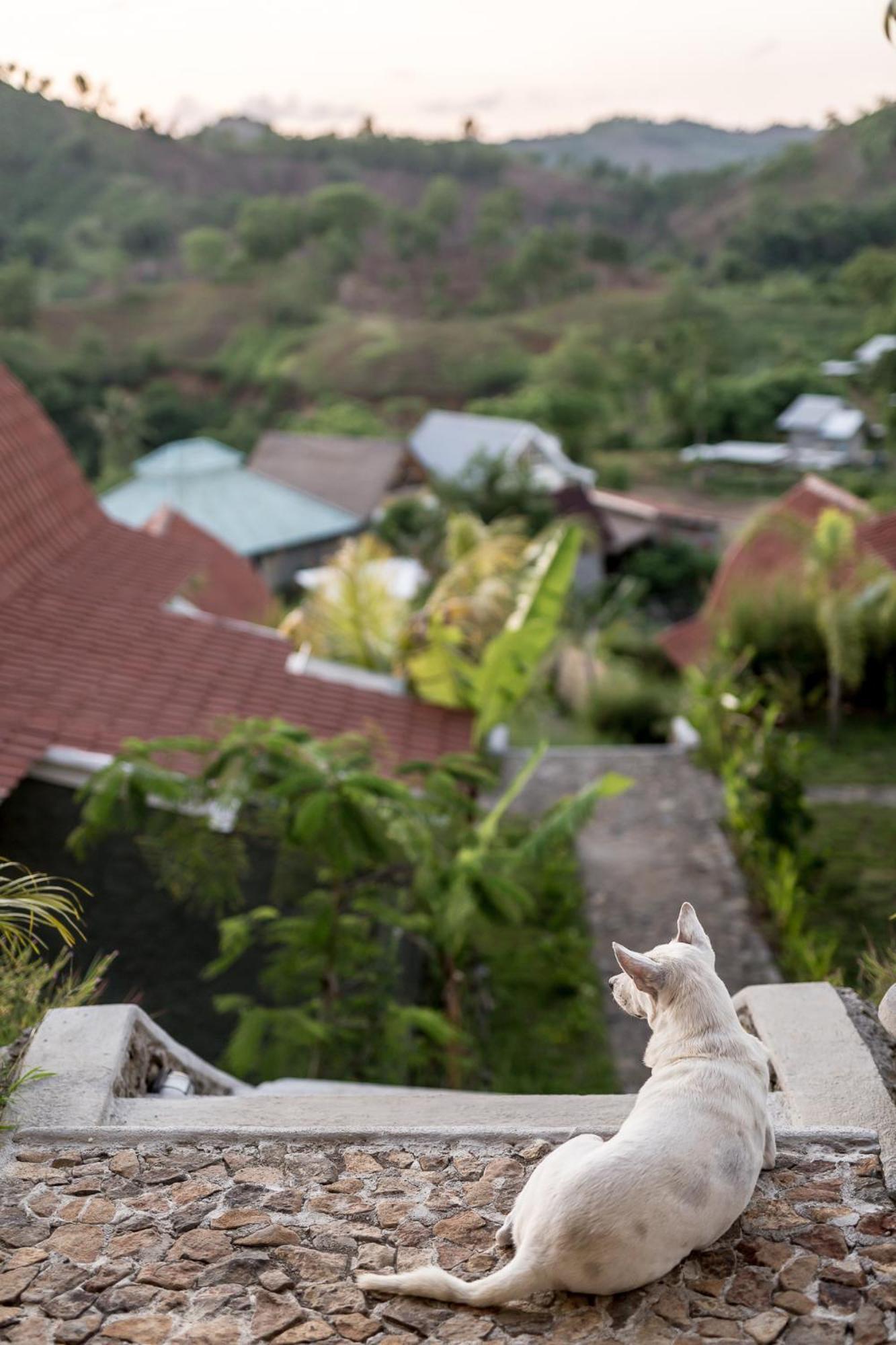Drop In Surf Lodge Kuta  外观 照片