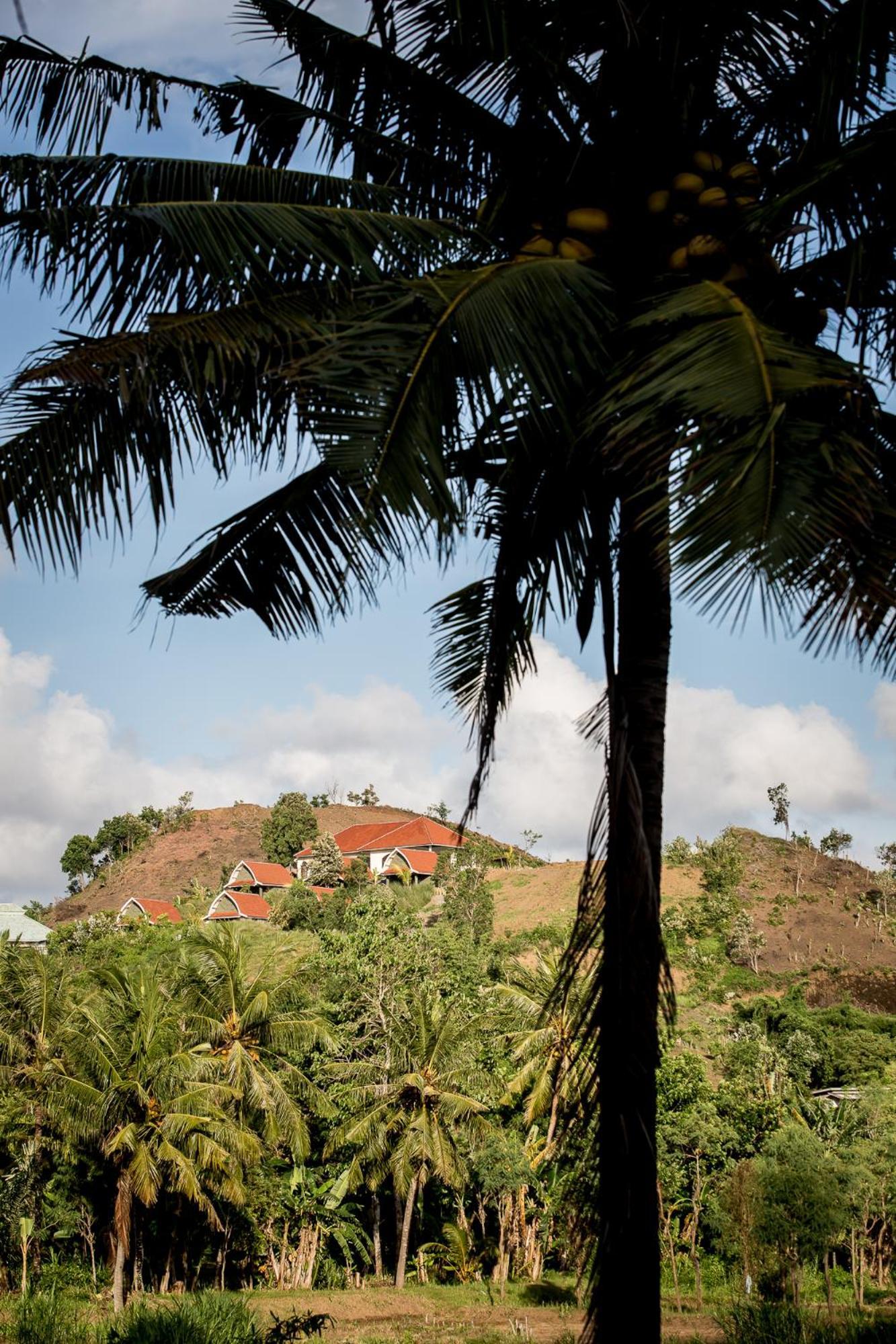 Drop In Surf Lodge Kuta  外观 照片